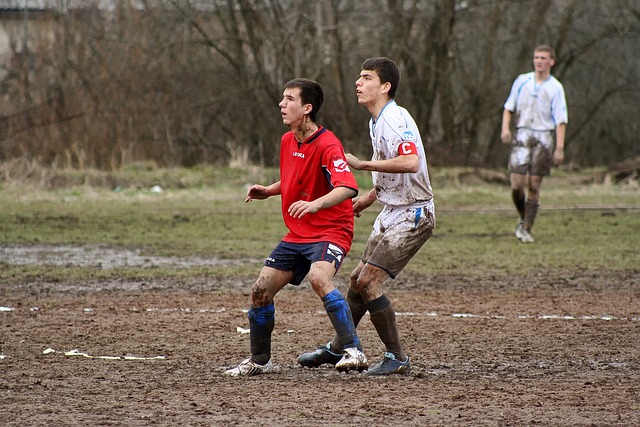 元性和经济 元性和经济