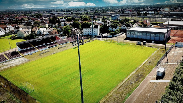 资是在他职 资是在他职